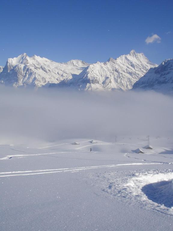 Chalet Asterix Grindelwald Exteriér fotografie
