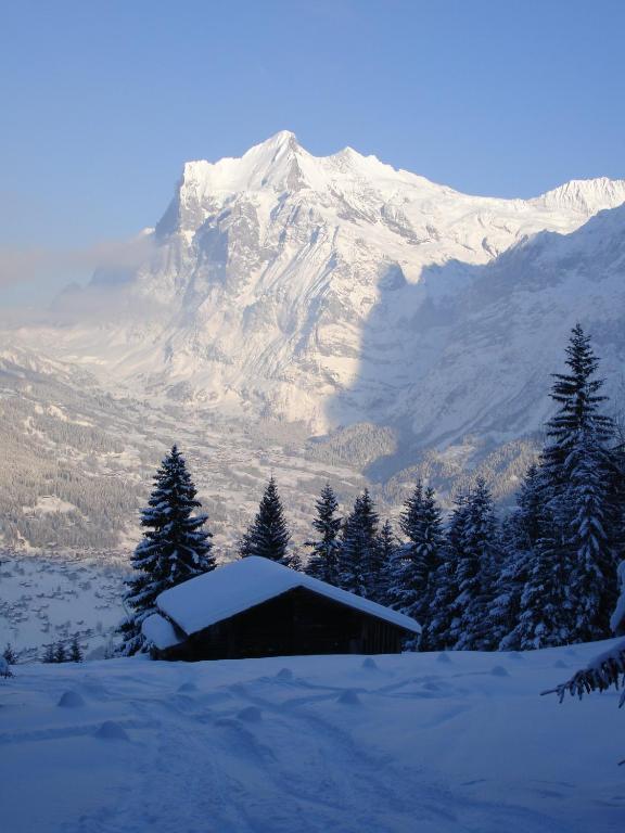 Chalet Asterix Grindelwald Exteriér fotografie