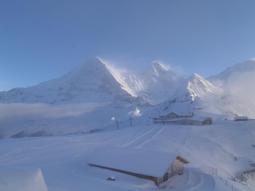 Chalet Asterix Grindelwald Exteriér fotografie