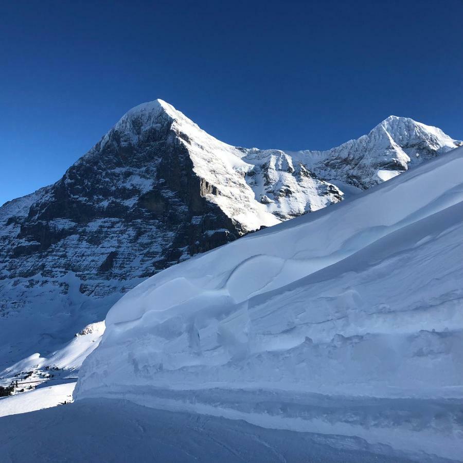 Chalet Asterix Grindelwald Exteriér fotografie